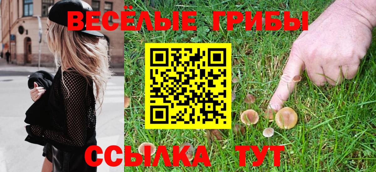 Галлюциногенные грибы Psilocybe Луга
