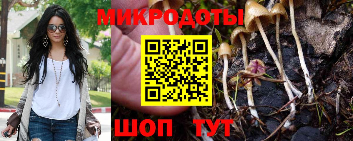 Галлюциногенные грибы мухоморы  Вход с VPN  Галлюциногенные грибы Magic Shrooms  Луга 